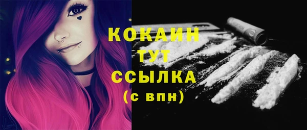 амф Верхний Тагил