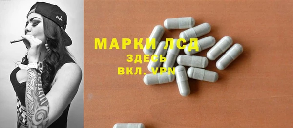 шишки Верея