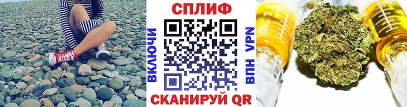 Каннабис конопля Дыгулыбгей